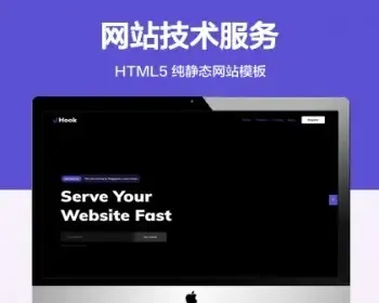 推荐 （自适应手机端）网站技术服务纯静态网站模板 HTML5互联网服务网站源码