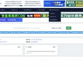 仿IT狗网络节点ping、tcping、路由追踪MTR、DNS记录等工具