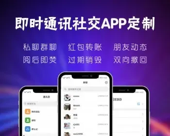 纯社交安全聊天系统单人多人即时通讯沟通软件原生双端APPjava后台支持搭建PC聊天版本