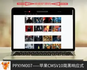 【皮皮虾源码】#PPXYM007_苹果cmsV10简黑响应式_视频_图片_小说