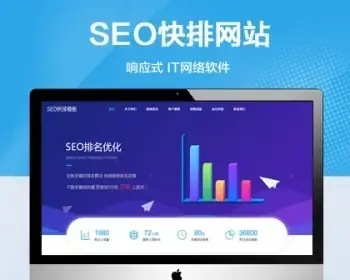 （自适应移动端）SEO快排网站模板 大气的IT网络软件公司类网站源码