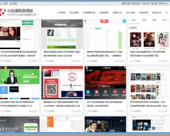 WordPress**资源博客自动盈利赚钱源码