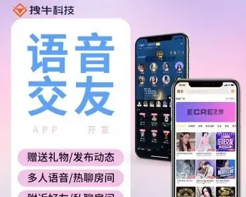 语音APP软件点单系统TT比心氧气聊天室砸蛋社交交友系统源码