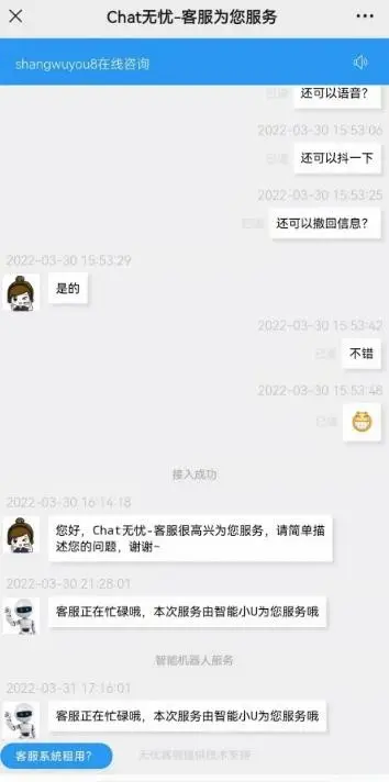 外贸多语言自动翻译客服系统+/抖屏/语音/撤回/已读未读/等功能