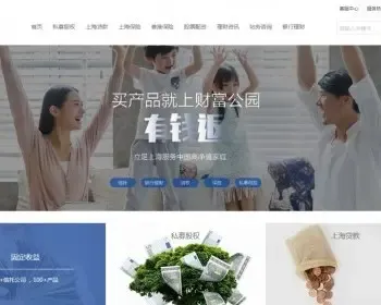 金融行业企业官网金融公司企业网站_高端大气响应式官网展示PC+移动端