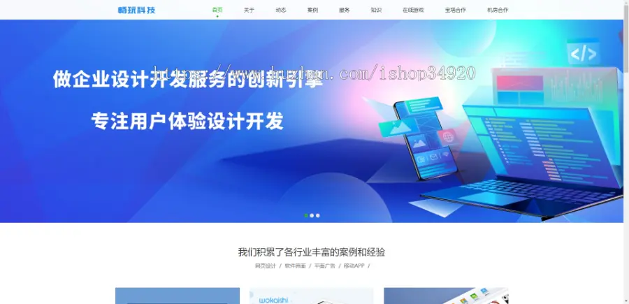 适应软件开发公司的企业官网