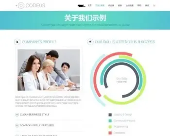 Codeus多用途企业wordpress汉化主题 +安装教程