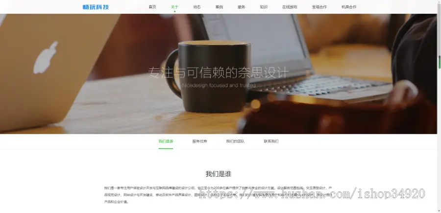 适应软件开发公司的企业官网