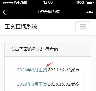 laravel8简单方便的工资查询三端系统支持导入导出