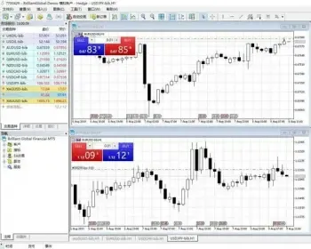 外汇MT4 白标、 MT5白标含CRM源码含插件及EA脚本