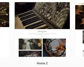 Shopify主题独立站网店音乐、艺术设备小提琴钢琴吉他模板跨境电商5种风格MagicSound