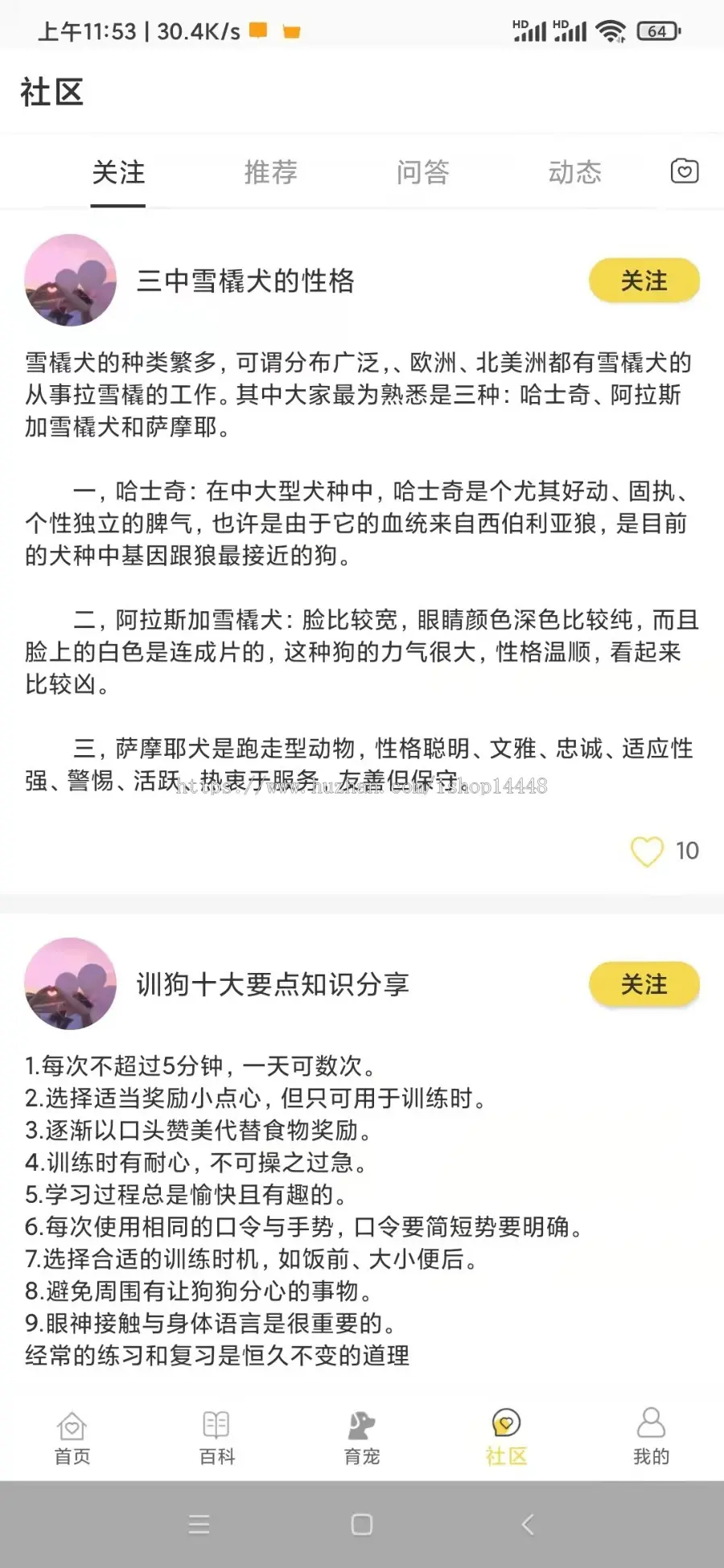 宠物养育训练app开发源码 宠物洗澡体重记录病症自查app小程序设计制作开发源码出售