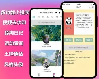 免费安装视频去水印小程序源码/舔狗日记/运动查询/土味情话/工具类小程序微信小程序