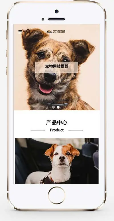（自适应手机端）宠物商店宠物装备类公司网站 宠物医院企业网站源码