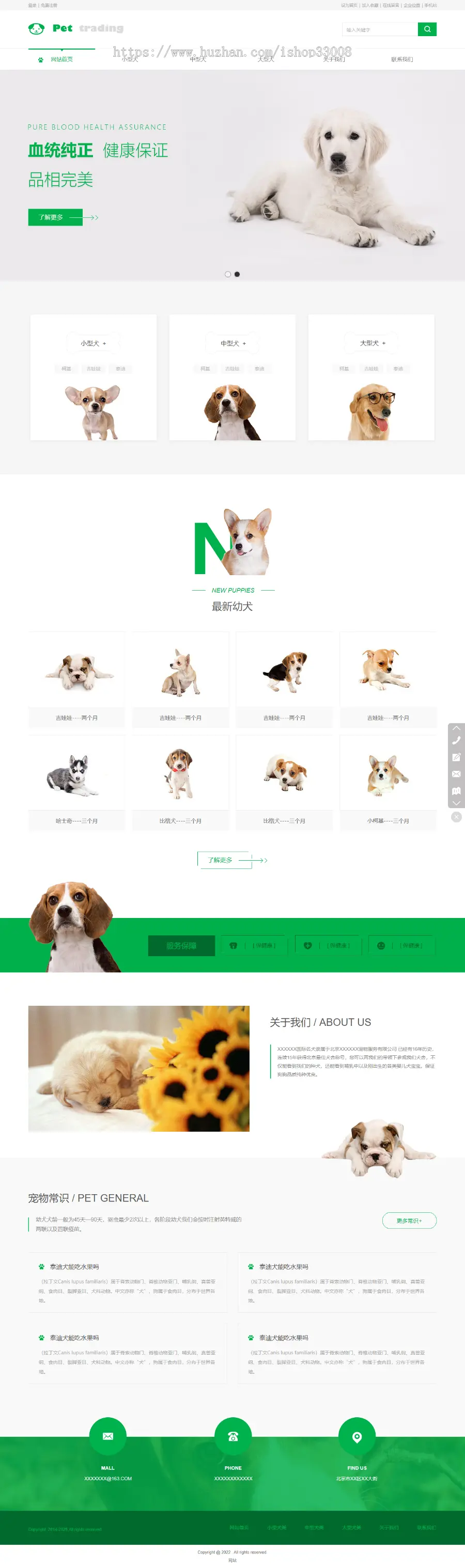 宠物交易行业网站建设网站设计模板建站手机站小程序