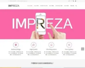 impreza高端多页面企业wp汉化主题 +安装教程