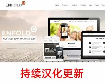 Wordpress Enfold 中文简体/繁体 汉化主题