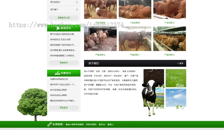 肉牛养殖供应基地网站官网建设开发