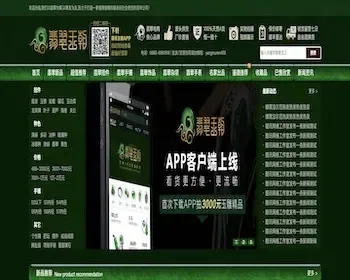 绿色翡翠珠宝玉器奢侈品古玩类商城源码带手机版支持二开