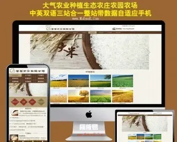 有机大米农业网站源码 html5响应式模板手机自适应 PHP伪静态带后台易优化seo