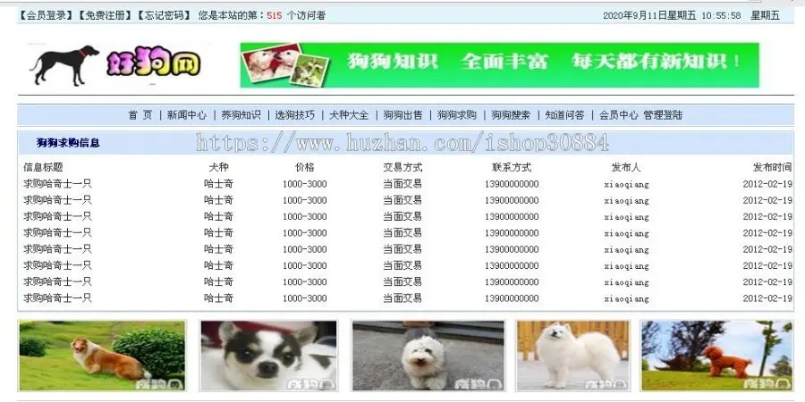 javaweb JSP JAVA宠物狗网站 宠物求购出售系统 宠物知识信息系统-毕业设计 课程设计