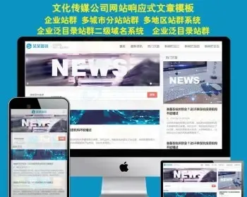 HTML5响应式新闻网站源码模板站群多城市分站源码网站seo排名优化