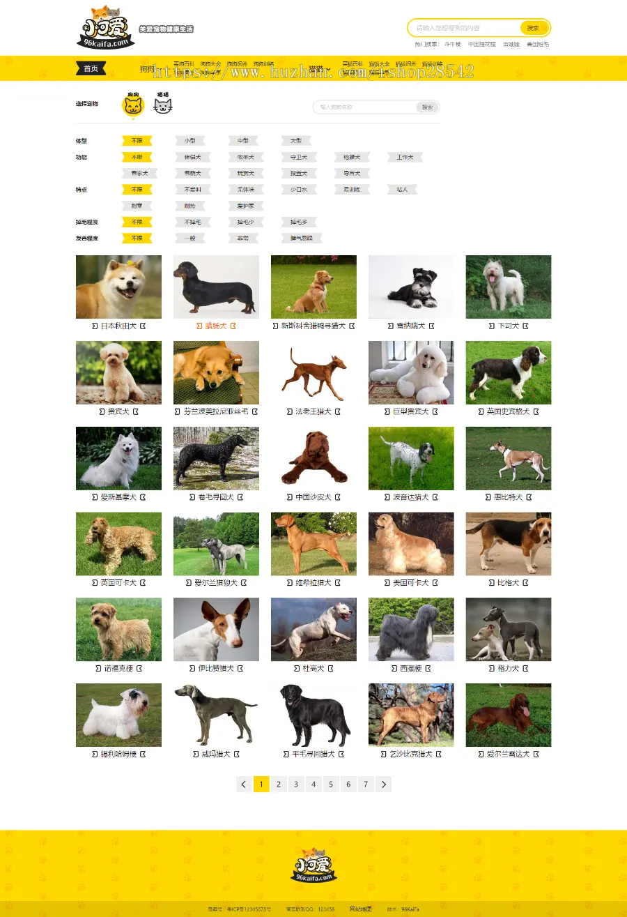 帝国CMS内核仿《小可爱宠物网》宠物资讯平台网站源码完整版+采集+手机版