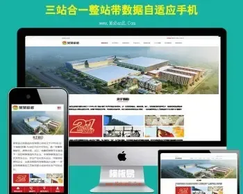 食品槟榔工厂网站 程序 建网站模版 建网站源码 正版三合一PHP