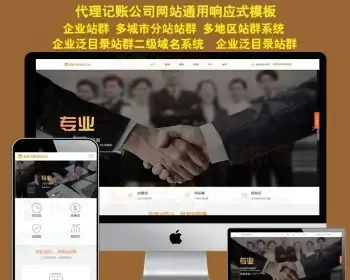 工商注册财政服务公司企业城市分站系统源码HTML5响应式网站模板