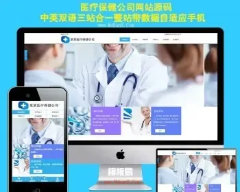 中英文外贸公司网站医疗保健网站模板三合一网站源码程序