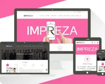 Impreza企业网站自适应手机版 wordpress商城主题模板汉化源码