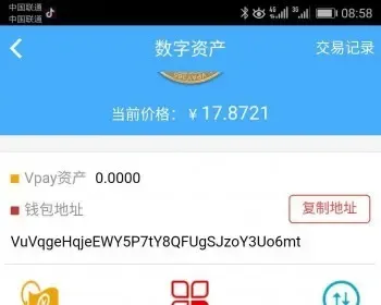 Vpay融合各行各业，共享每一个个体资源，并且融入区块链资产大趋势，而且还不需要担心平台倒闭跑路。试问哪个平台，可与相提