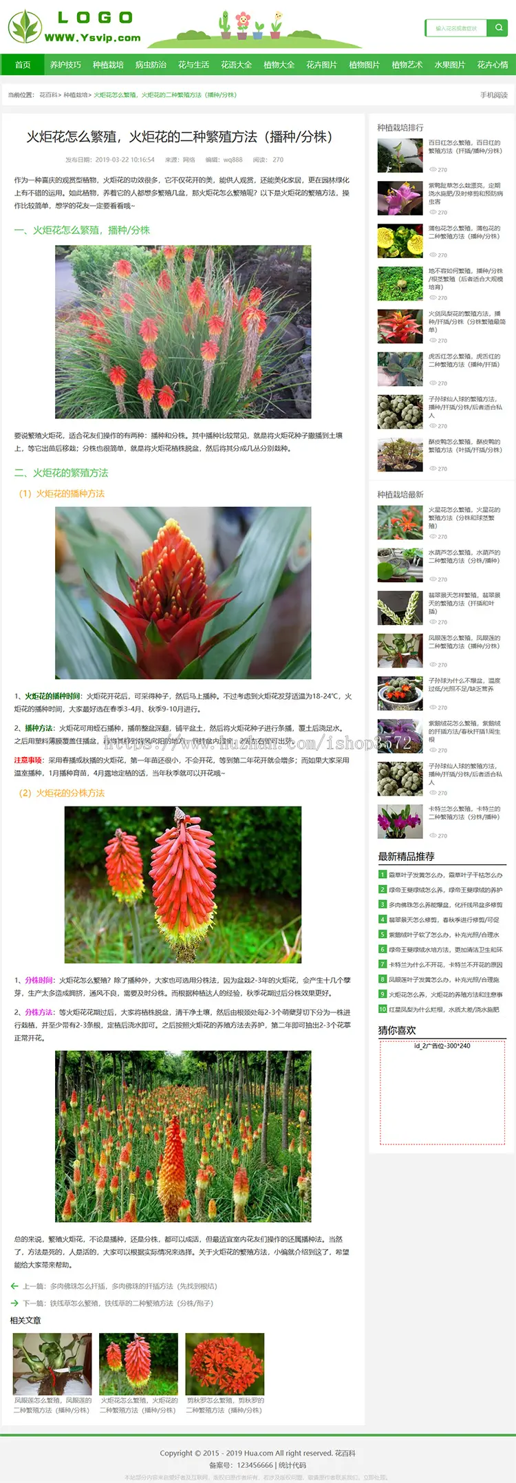 帝国CMS花草植物模板,花百科源码,花草乐模板,帝国MIP模板送采集