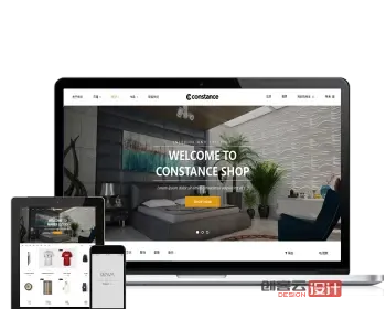 Constance 外贸购物商场WordPress汉化主题 企业建站 模板源码