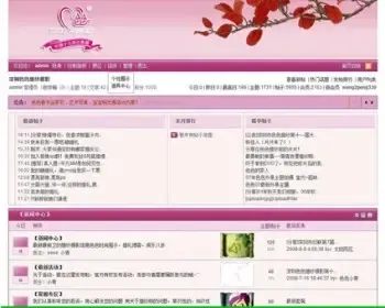 紫色规整 婚纱摄影论坛 通用BBS系统网站源码n0904 ASP+ACC