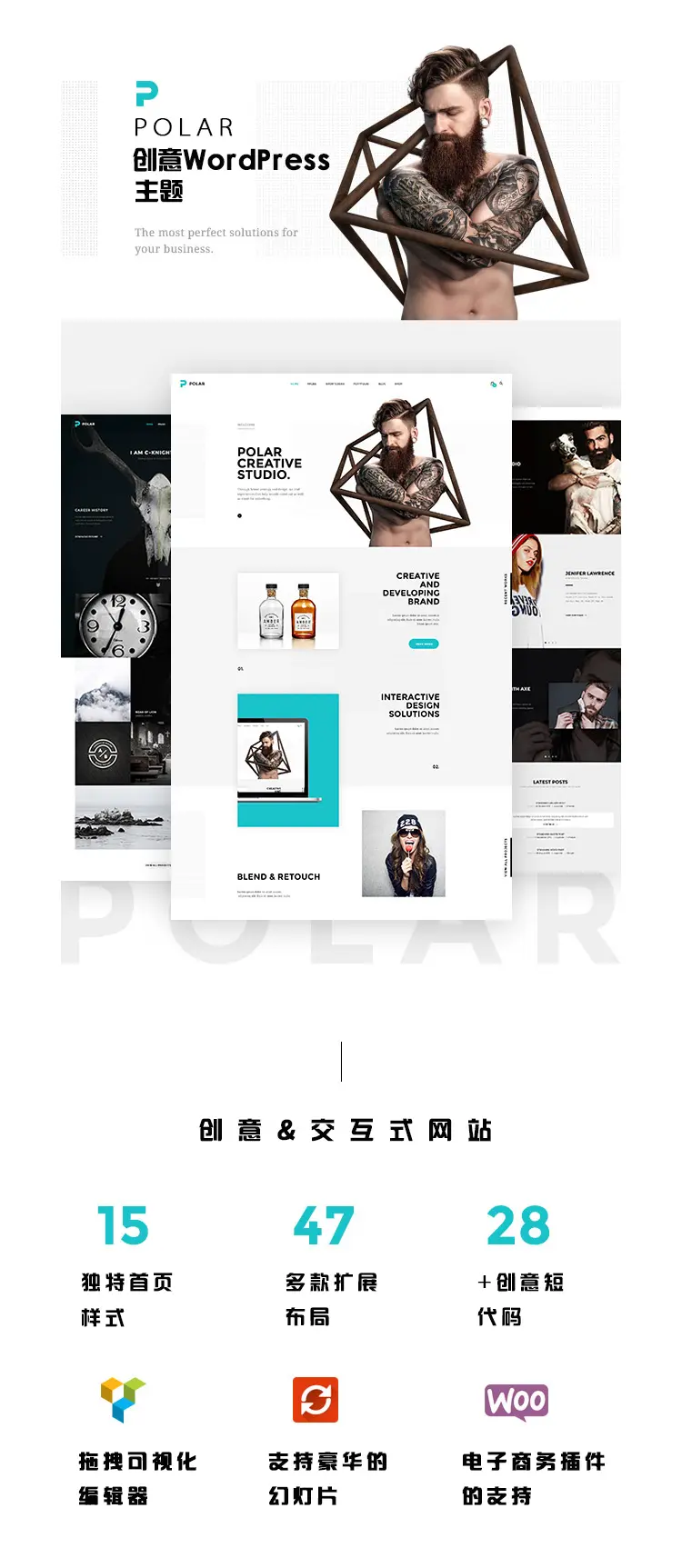 Polar 创意设计wordpress汉化主题 模板源码 企业建站 自适应手机 