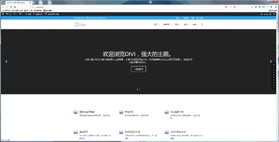 DIVI主题wordpress整站带演示数据打包 自适应 拖拽式修改 大气企业外贸网站源码 