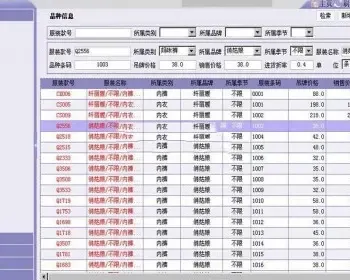 JAVA服装进销存完整版源码 支持会员卡预存充值 采购管理 销售管理 库存管理