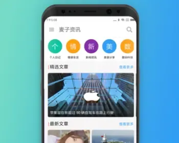 WordPress APP源码 WP APP源码 原生APP源码 Android Studio源码