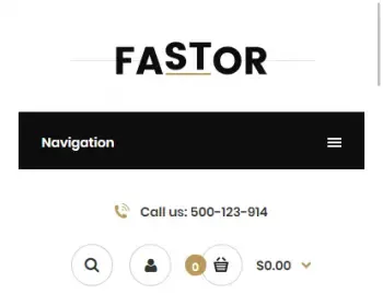 Fastor Shop服装购物商城网站源码 老外时尚购物网站 纯英文前后台