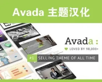 avada5.7.1汉化版带密钥可更新 wordpress企业外贸可拖拽编辑主题