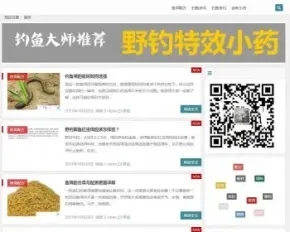 wordpress钓鱼技巧类文章资讯整站数据源码