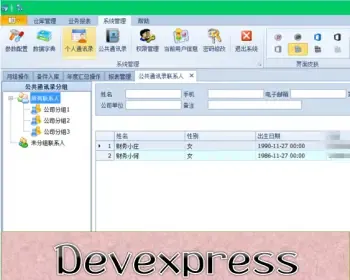 Winform 开发框架源码 devexpress 管理系统源码 C# .NET 多主题