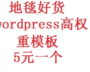 5套wordpress模板 高权重模板 只卖3元一套