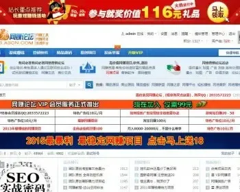 wang赚论坛源码打包,附带5W部分数据,搭建即可运营,搭配支付接口赚钱利器,**平台源码