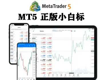 MT5搭建白标整套搭建出售MT5CRM系统源码出售主标小白标源码MT4软件系统