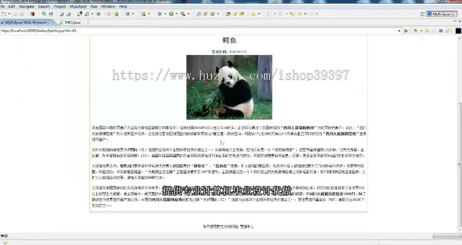 【毕设】jsp1333野生动物网站sqlserver毕业设计