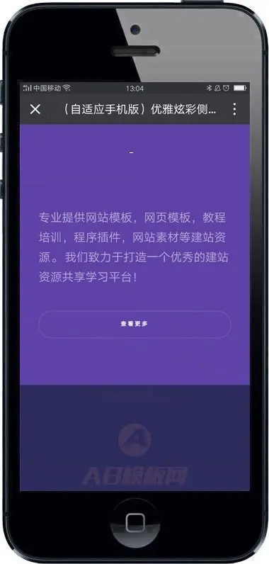 优雅炫彩侧边响应式企业展示通用织梦模板带手机版