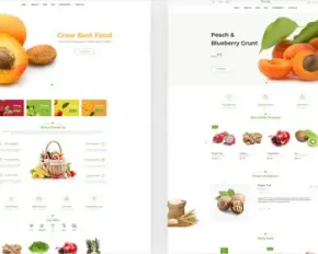 Shopify主题独立站有机食品、新鲜水果、蔬菜电子商务模板跨境电商4种风格Fruity