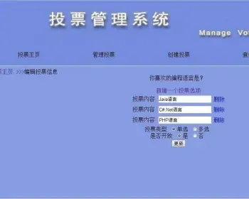 Java投票管理系统源码，投票源码
